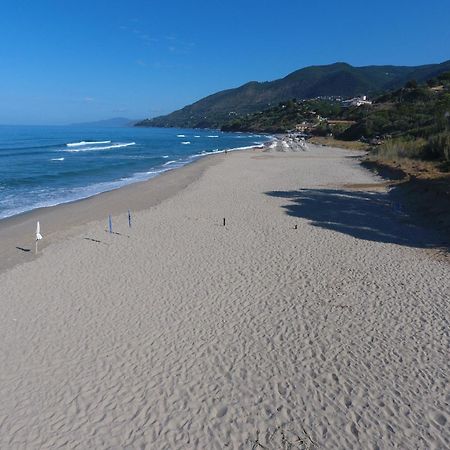 פישוטה Residence Le Palme - Appartamenti Sul Mare - Spiaggia Tra Palinuro E Caprioli מראה חיצוני תמונה